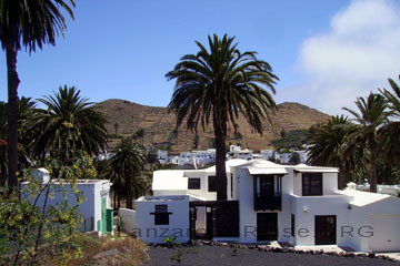 Dattelpalmen in Haria, dem Tal der tausend Palmen und beliebstes Ausflugsziel beim Lanzarote Urlaub auf den kanarischen Inseln die zu Spanien gehören.